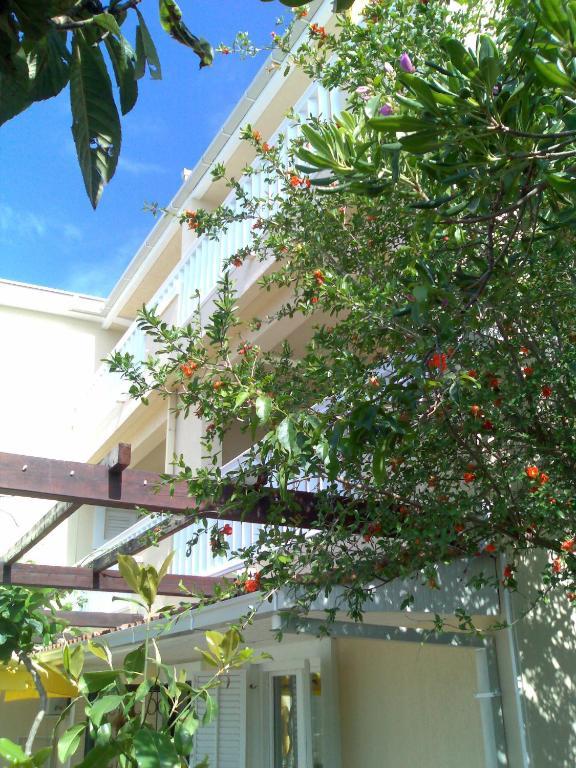 Villa Tenzera Херцег Нови Екстериор снимка